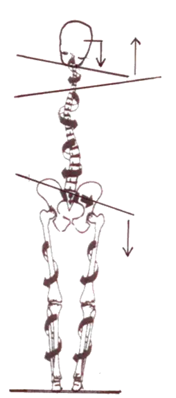 Osteopathie Indikationen